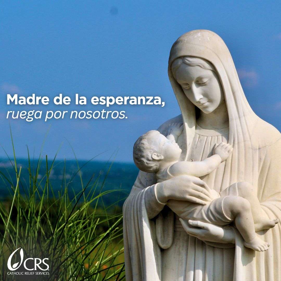 Etiqueta fotográfica:notre-dame | Hippopx, image size:1080x1080